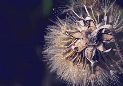 羞辱的句子(精选40句)