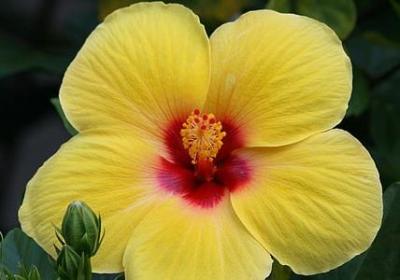 自己可悲又可笑的句子(共10句)