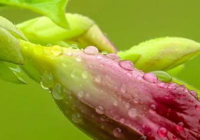 翻开旧照片感慨的句子(通用60句)