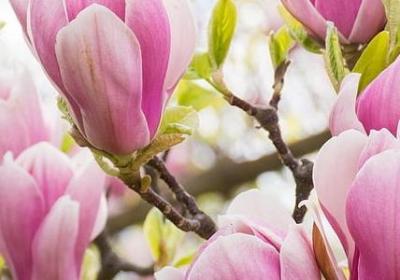 老婆想老公的句子(优选80句)