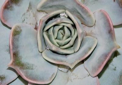 能让心情变好的句子(通用50句)