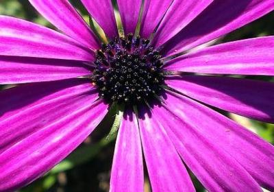 羡慕别人旅游的句子(合集47句)