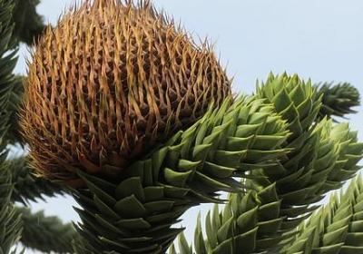 老婆辛苦了的句子(通用50句)