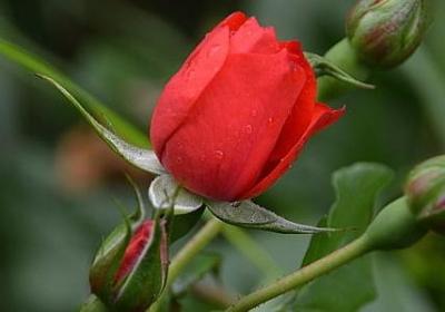 背后使坏的小人句子(汇总60句)