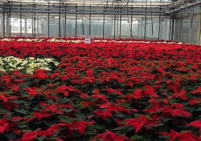 美好瞬间的句子(必备10句)