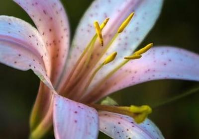 美好品质的句子(通用20句)