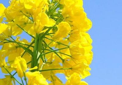 老师爱岗敬业的句子(必备50句) 老师爱岗敬业的句子(必备50句)