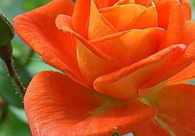 自己加油的励志句子(通用60句) 自己加油的励志句子(通用60句)