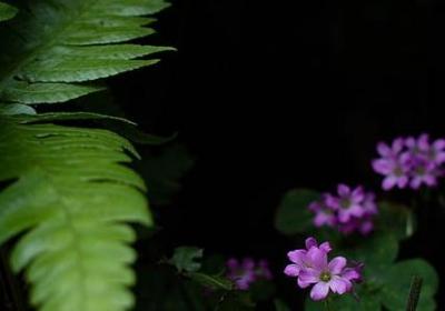 老师爱学生的优美句子(热门30句) 老师爱学生的优美句子(热门30句)