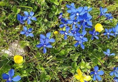 老婆我好想你的句子(实用50句) 老婆我好想你的句子(实用50句)