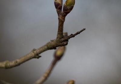 老婆认错的句子(50句) 老婆认错的句子(50句)