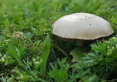 臣妾向皇上撒娇的句子(热门50句) 臣妾向皇上撒娇的句子(热门50句)