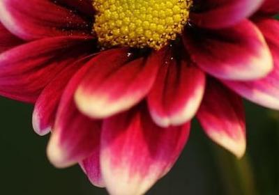 自己伤心的句子(合集59句)