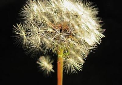 腰疼的句子(优选30句)