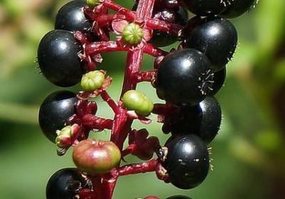 老公爱老婆的霸气句子(汇总39句)