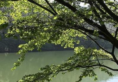 自己做的不够好的句子(精选20句)