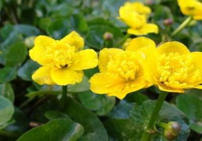 老人不容易的感人句子(热门50句)