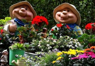 腰疼难受的句子和图片(10句)