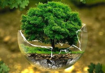 老师表扬学生的句子(合集40句)