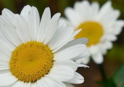 美好的早晨句子(40句)