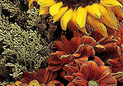 美好一天的句子(必备10句)