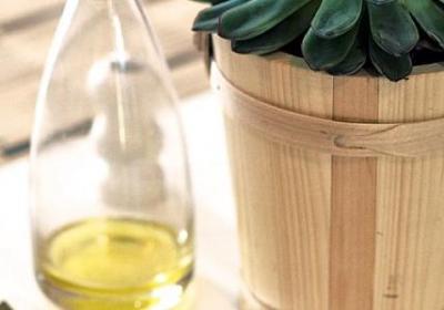 老人离去感慨的句子(通用64句)