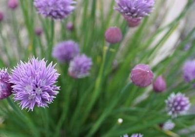 老师的句子或一段话(推荐80句)