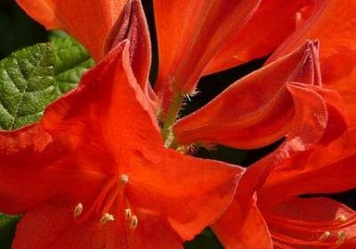 老公我好想你的句子(40句)