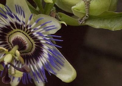 自嘲自讽的句子(推荐50句)