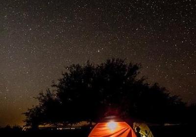 自嘲自己胖的搞笑句子(优选20句)