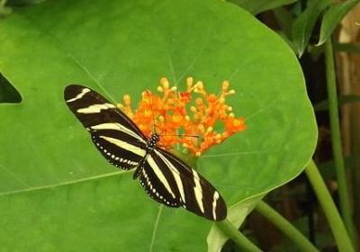 背后阴人的句子(55句)