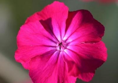 羡慕别人的幸福的句子(优选60句)