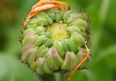 美好的一天的句子(合集70句)