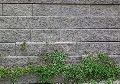 美好清晨的句子(共50句)