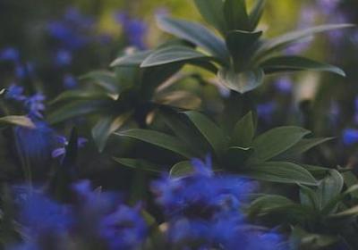 老公宠老婆的句子(通用50句)