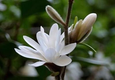 老公疼爱老婆的句子(推荐70句)