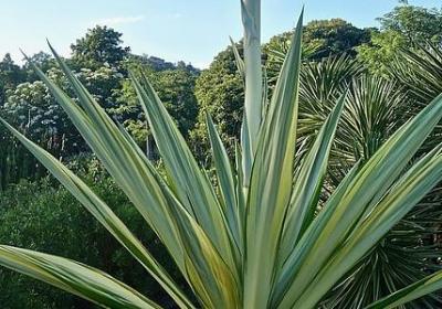 美好心态的句子(优选80句)