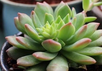 美好童年的句子(热门20句) 美好童年的句子(热门20句)