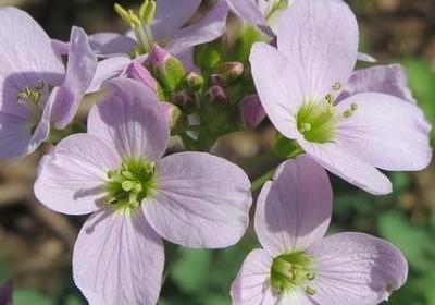 老公病了我心疼的句子(共40句) 老公病了我心疼的句子(共40句)