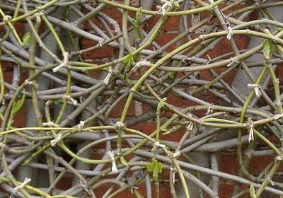 自勉的句子(精选40句) 自勉的句子(精选40句)