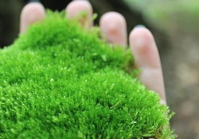 自己动手做美食的句子(精选50句) 自己动手做美食的句子(精选50句)