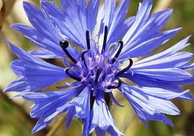 美好的英文句子(热门80句) 美好的英文句子(热门80句)