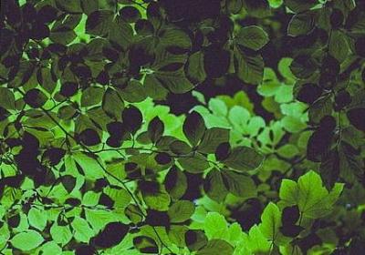 美好时光的唯美句子(50句) 美好时光的唯美句子(50句)