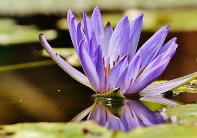 自嘲的幽默句子(共50句) 自嘲的幽默句子(共50句)