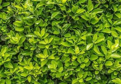 自己伤心难过的句子(汇总70句)