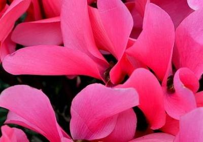 自杀的句子(汇总1句)