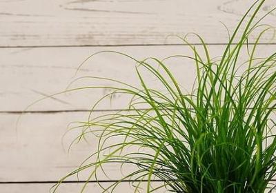 花花世界的句子(必备50句)