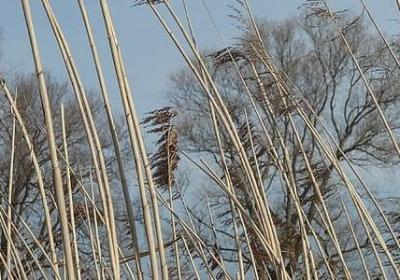 舞蹈语录励志的句子(汇总50句)