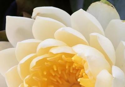 节假日坚守岗位的句子(热门40句)