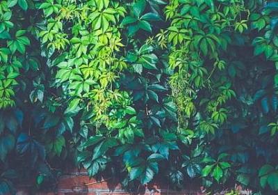 花钱如流水的句子(优选50句)